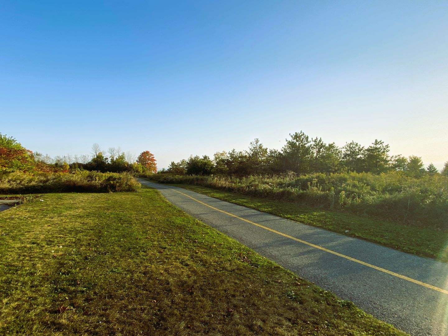 Pathway to Waterfront